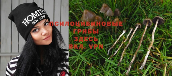 PSILOCYBIN Бугульма
