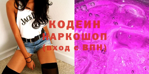 МДПВ Бородино