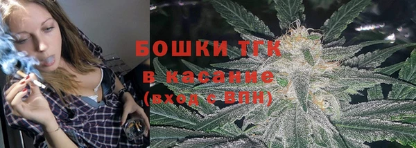амф Богородск