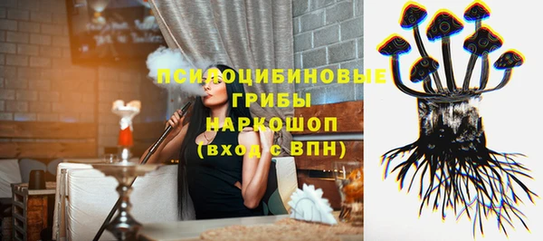 хмурый Богородицк