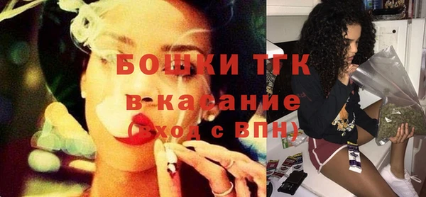хмурый Богородицк