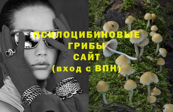 амф Богородск