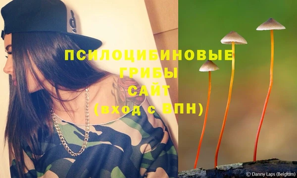 амф Белоозёрский